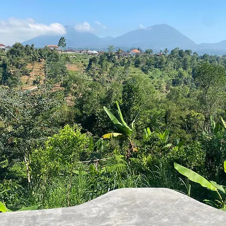 Lembah Cinta Mayungan Baturiti Exterior photo