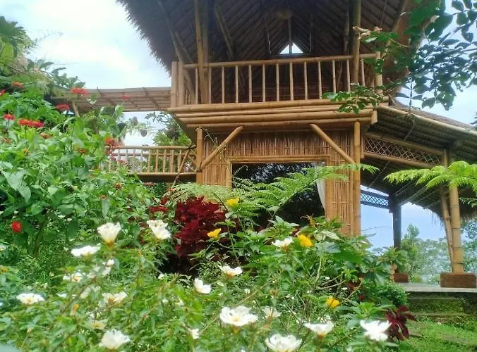 Lembah Cinta Mayungan