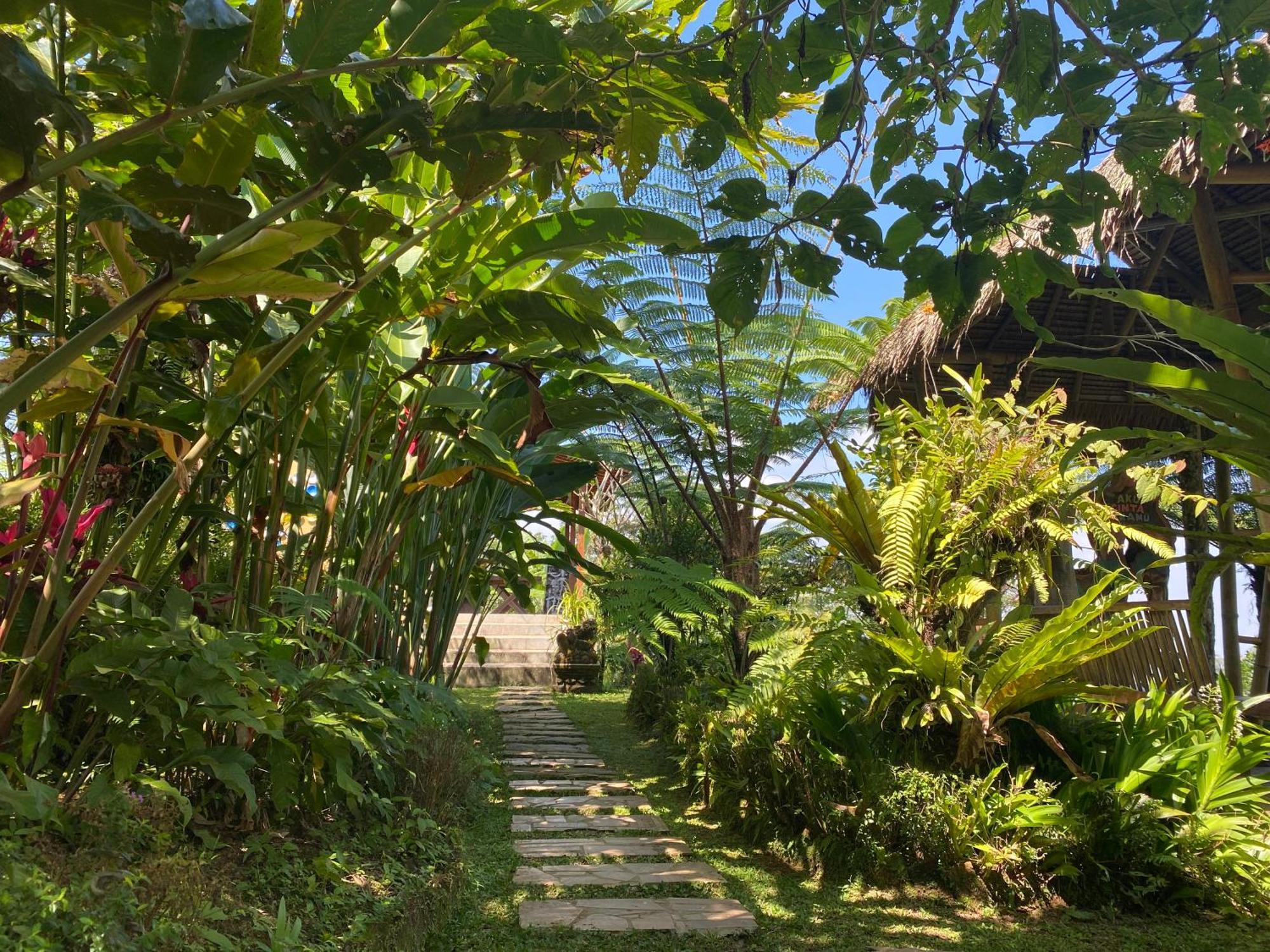 Lembah Cinta Mayungan Campsite Baturiti