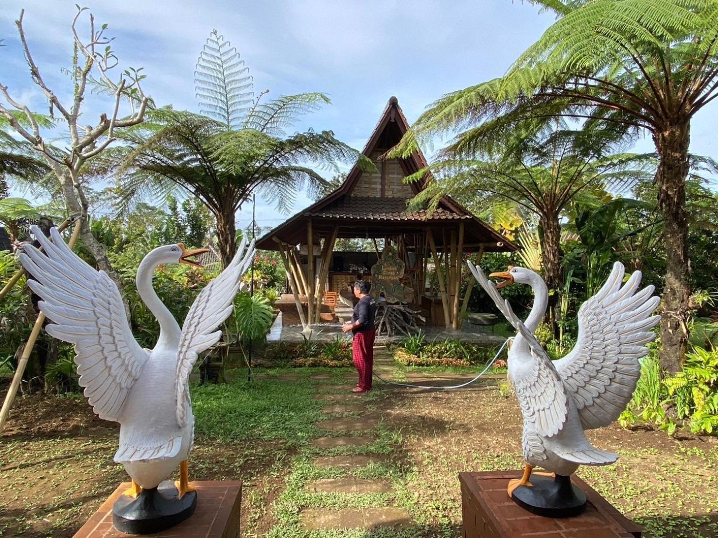Lembah Cinta Mayungan Baturiti