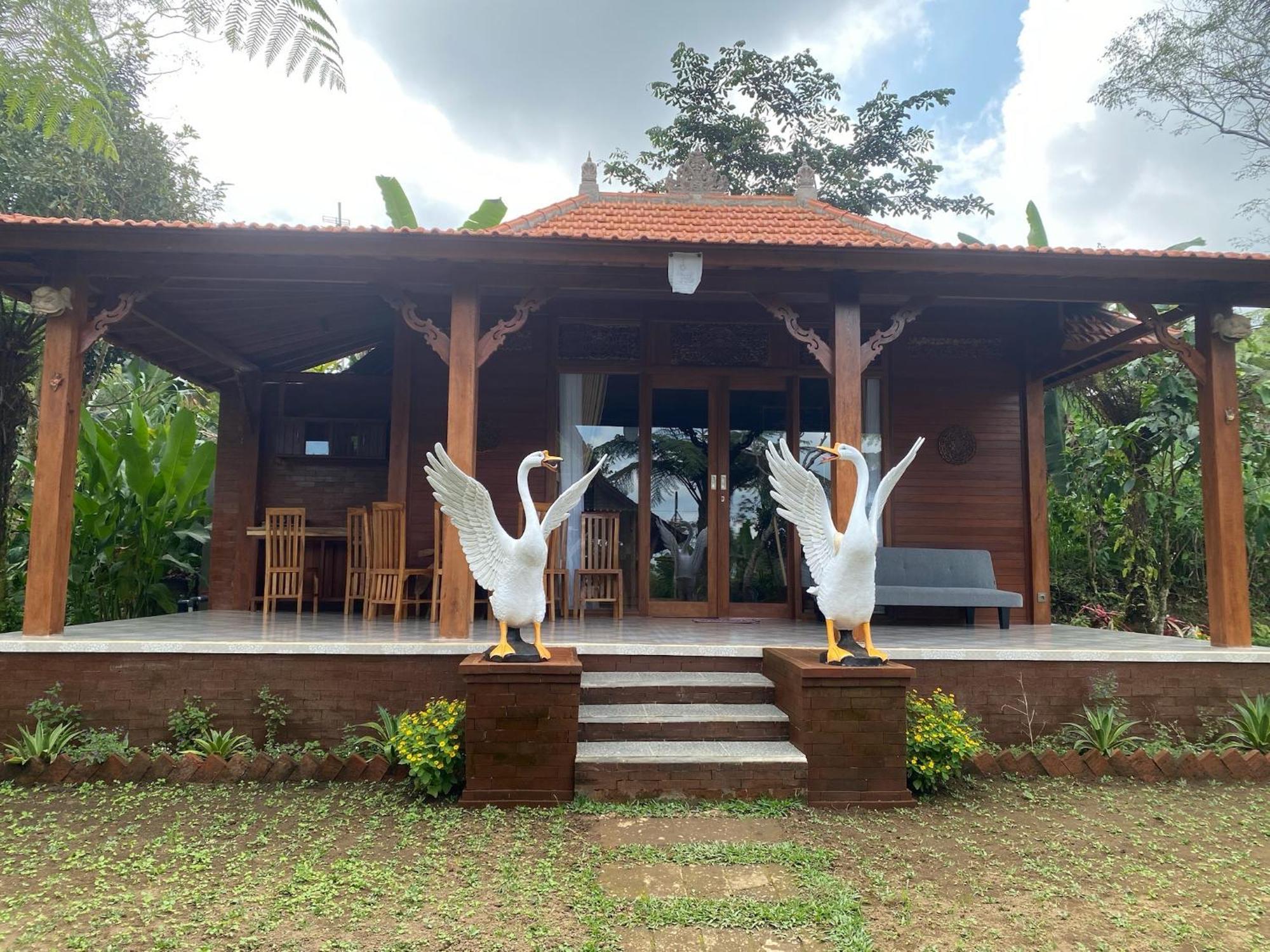 Lembah Cinta Mayungan