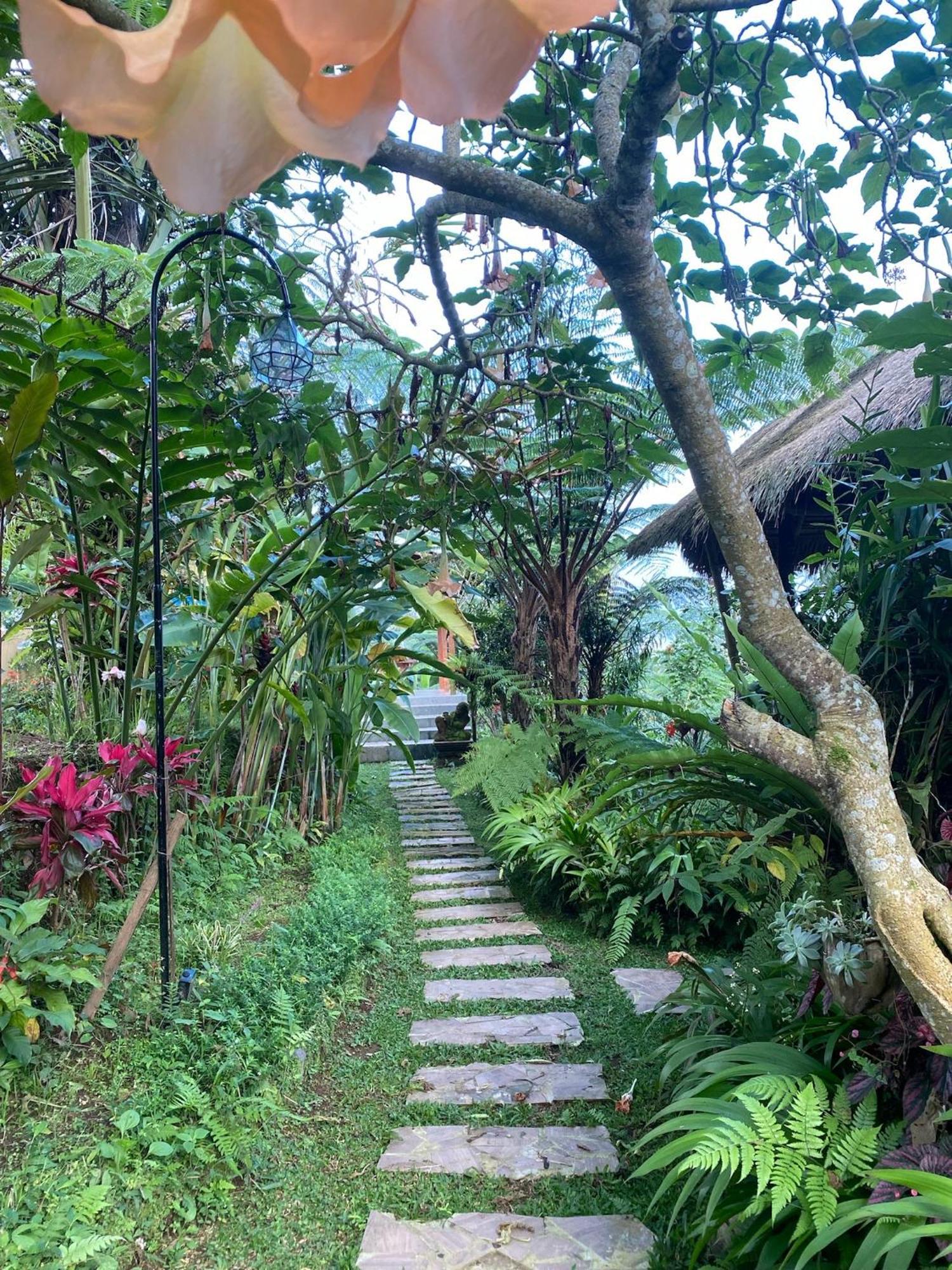 Lembah Cinta Mayungan Campsite