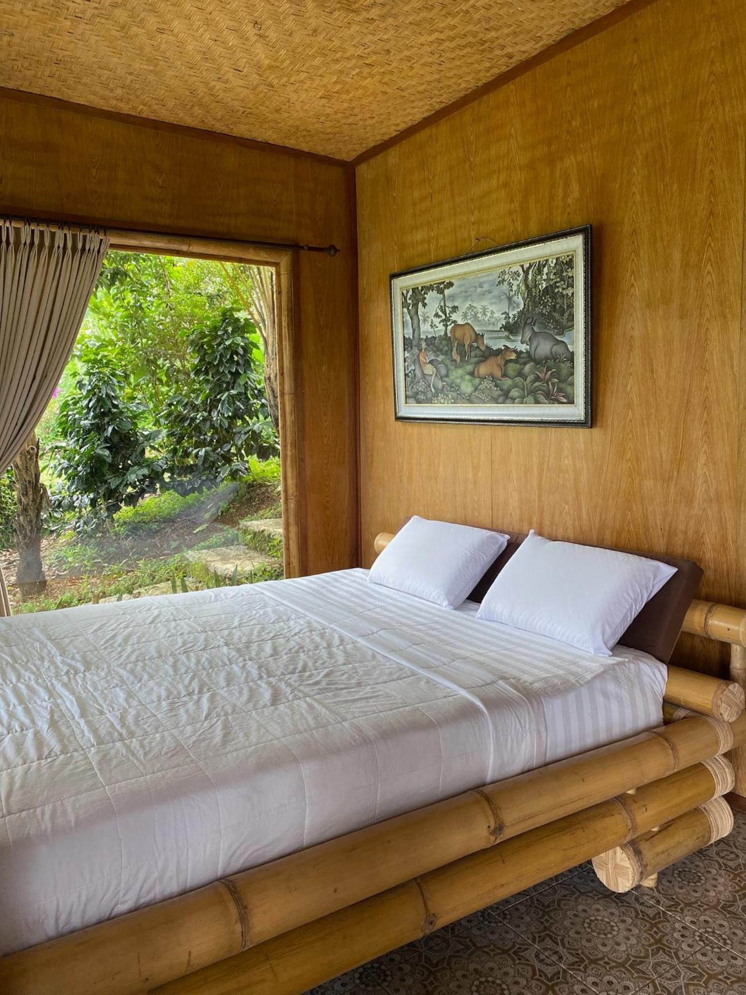 Campsite Lembah Cinta Mayungan *