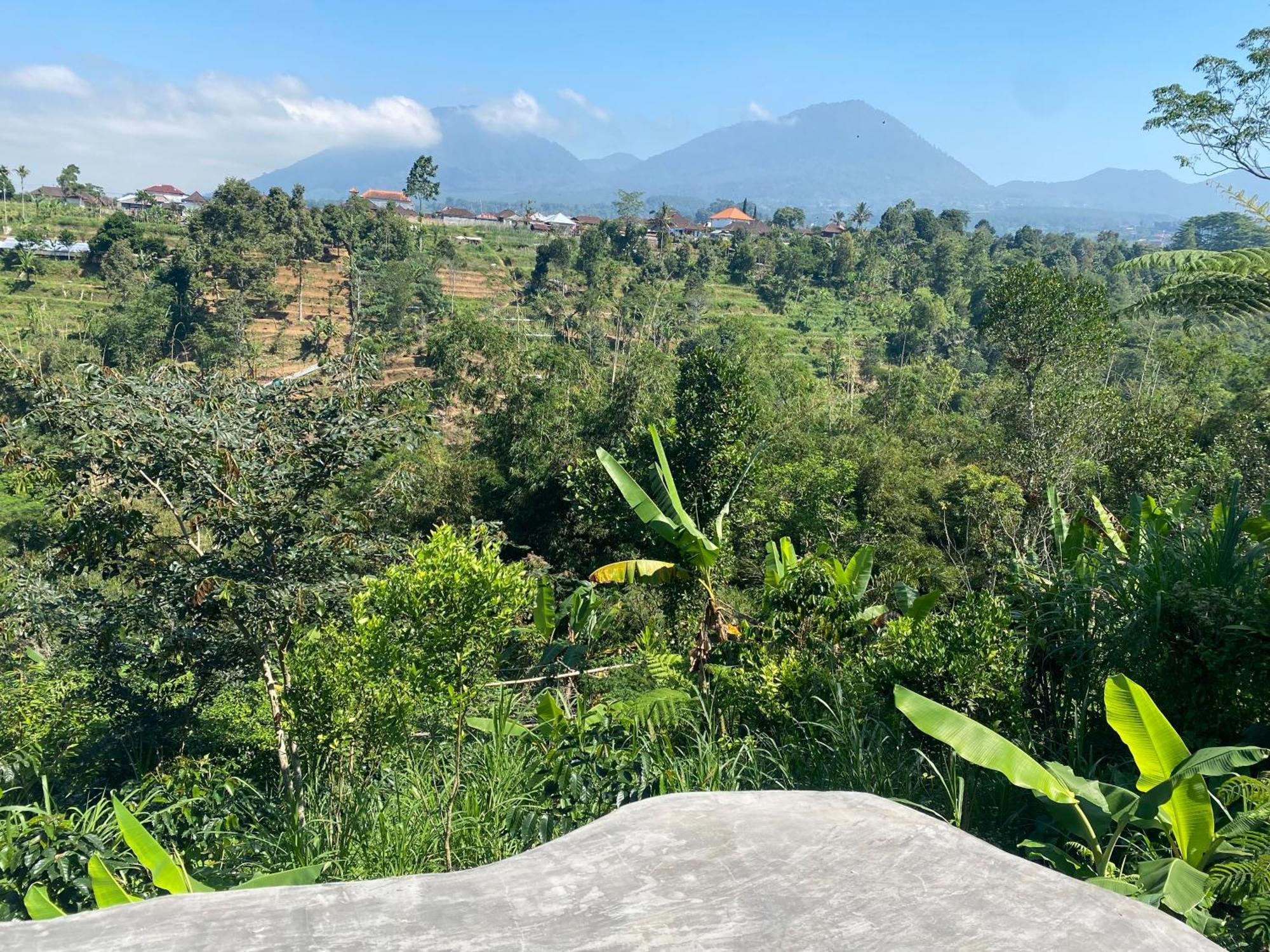 Campsite Lembah Cinta Mayungan Baturiti