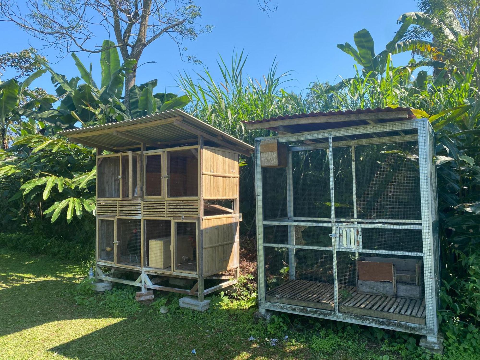 Lembah Cinta Mayungan Campsite Baturiti