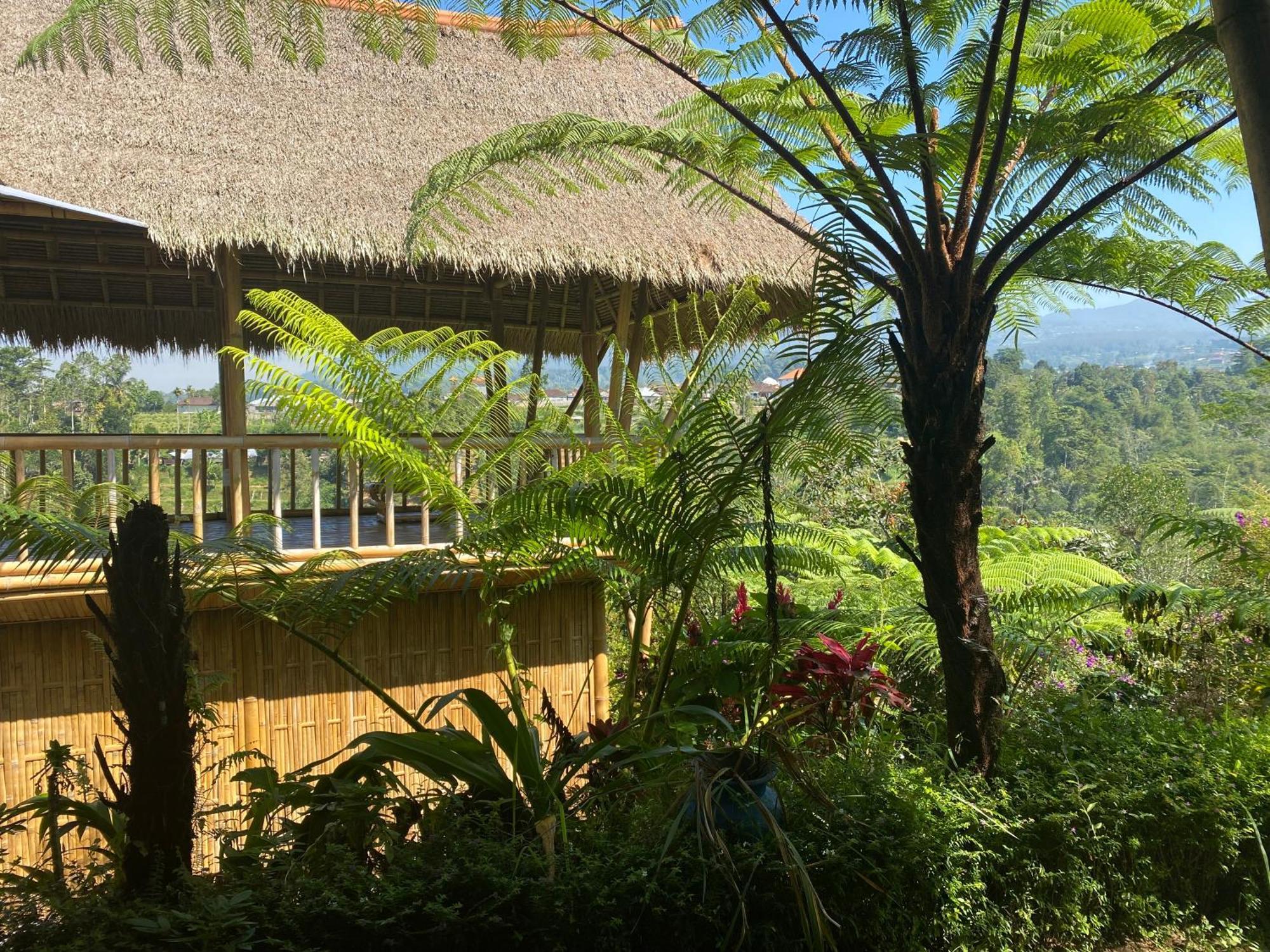 Lembah Cinta Mayungan