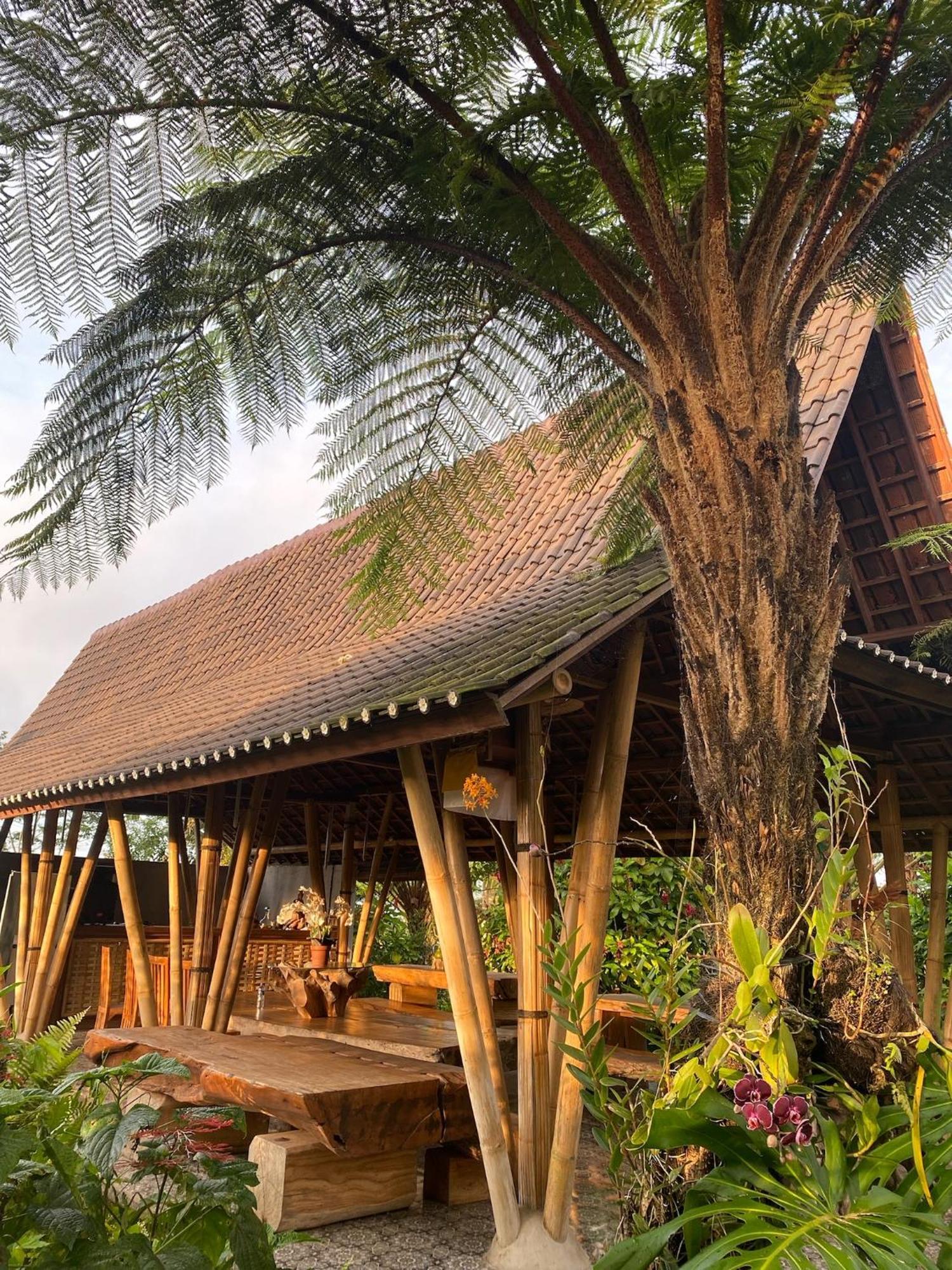 Lembah Cinta Mayungan * Baturiti