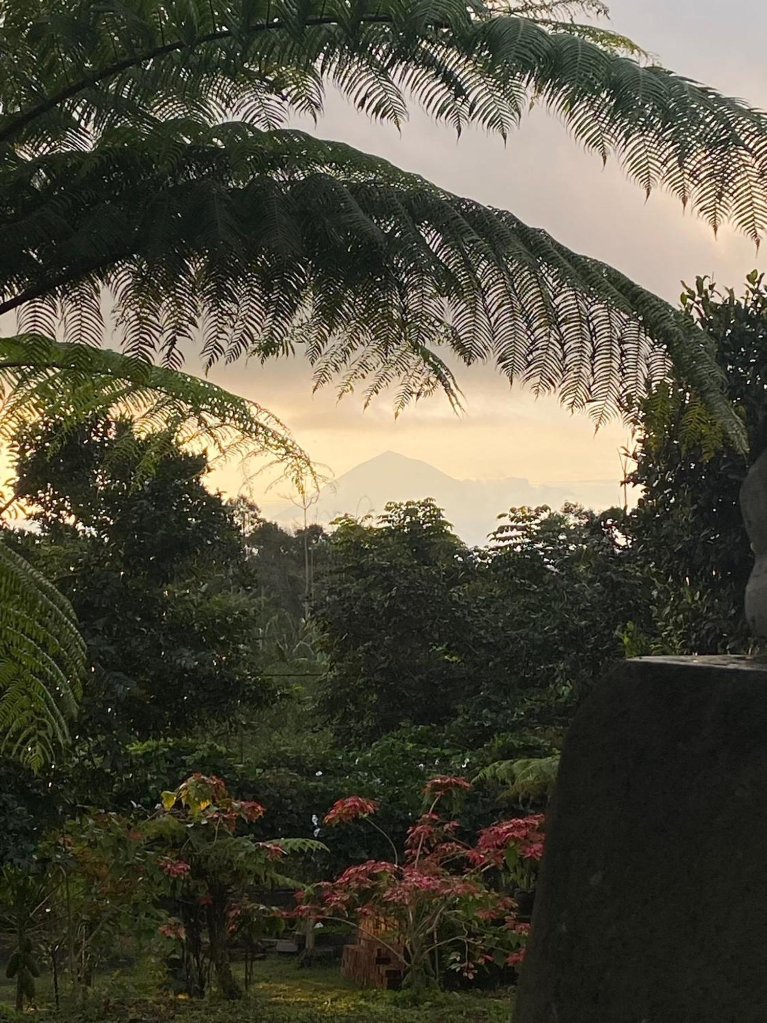 Lembah Cinta Mayungan * Baturiti