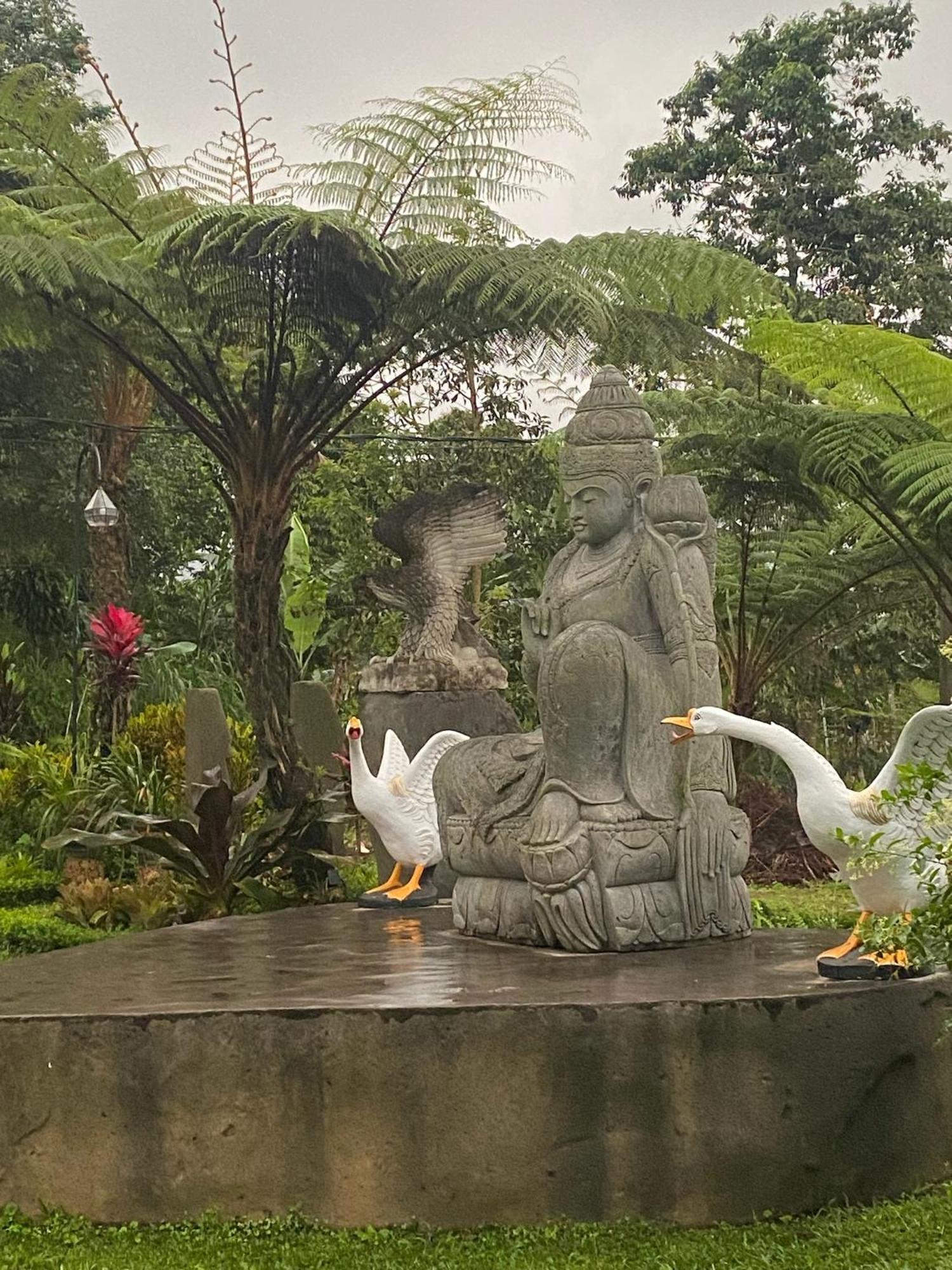 Lembah Cinta Mayungan Campsite