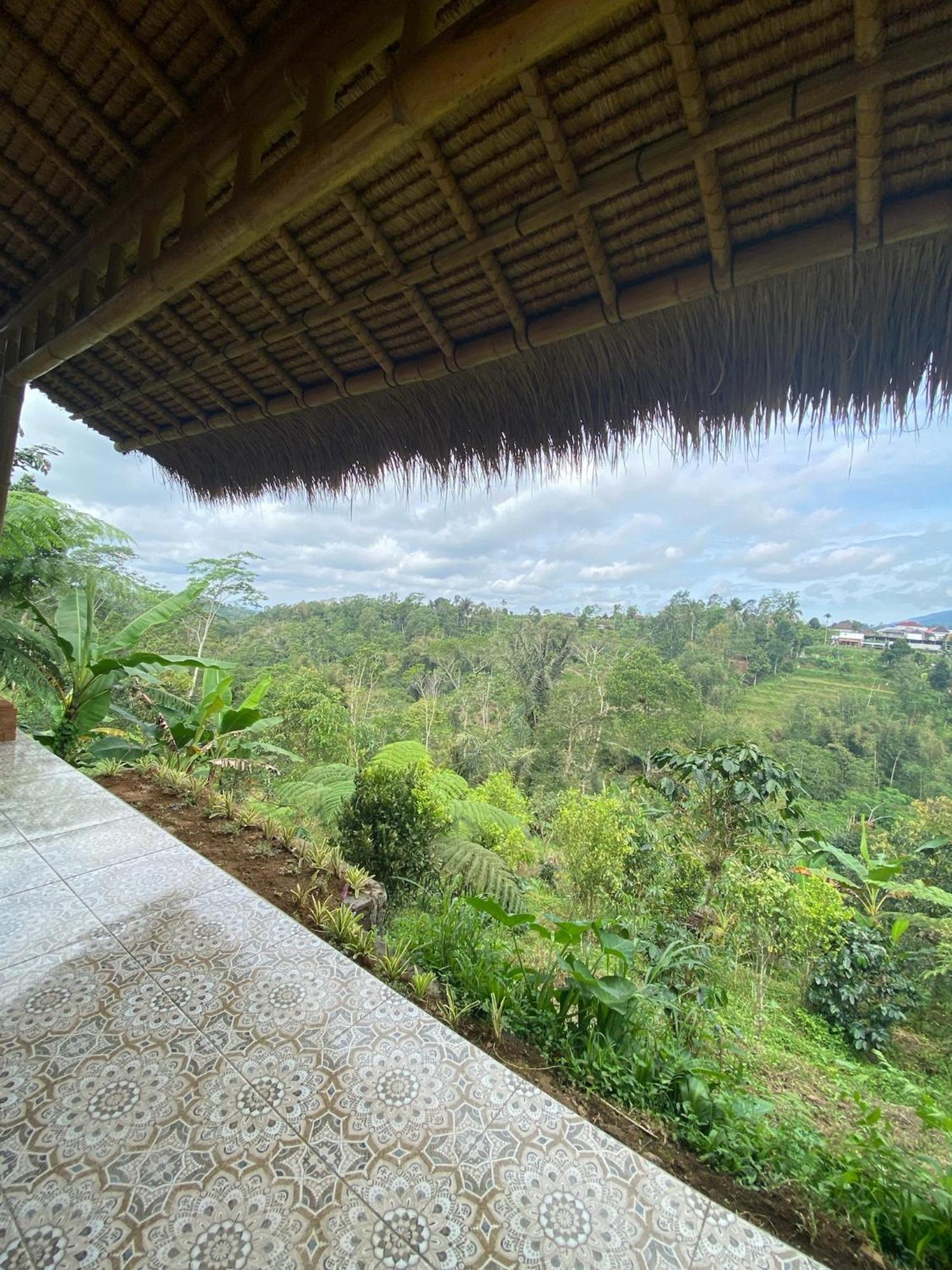 Campsite Lembah Cinta Mayungan *