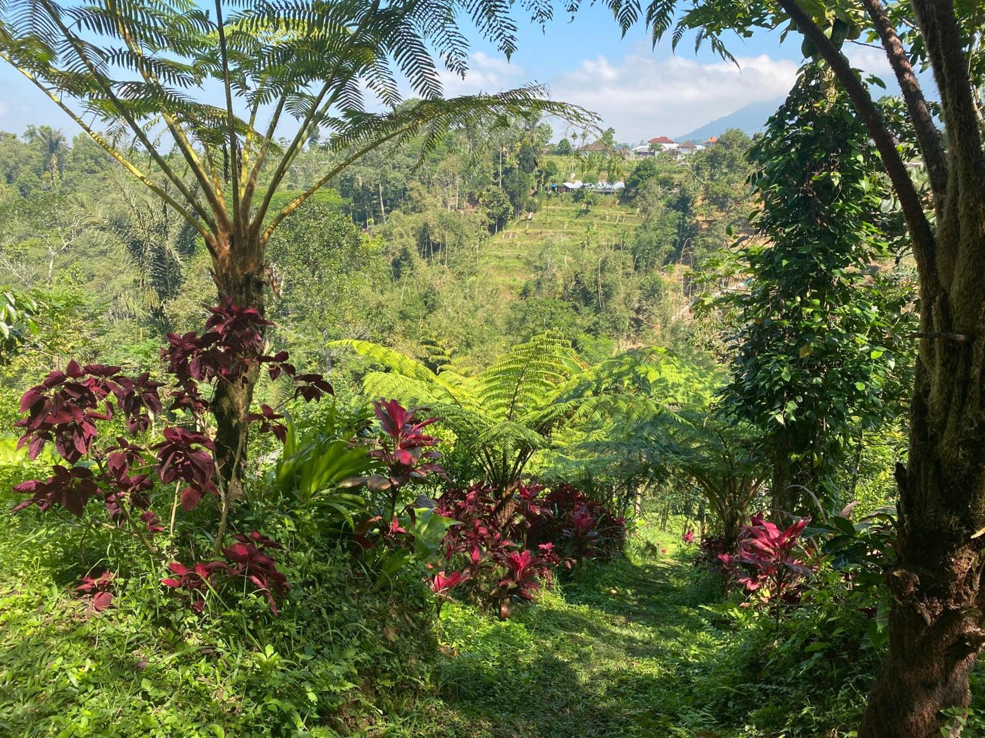 Perkemahan Lembah Cinta Mayungan *