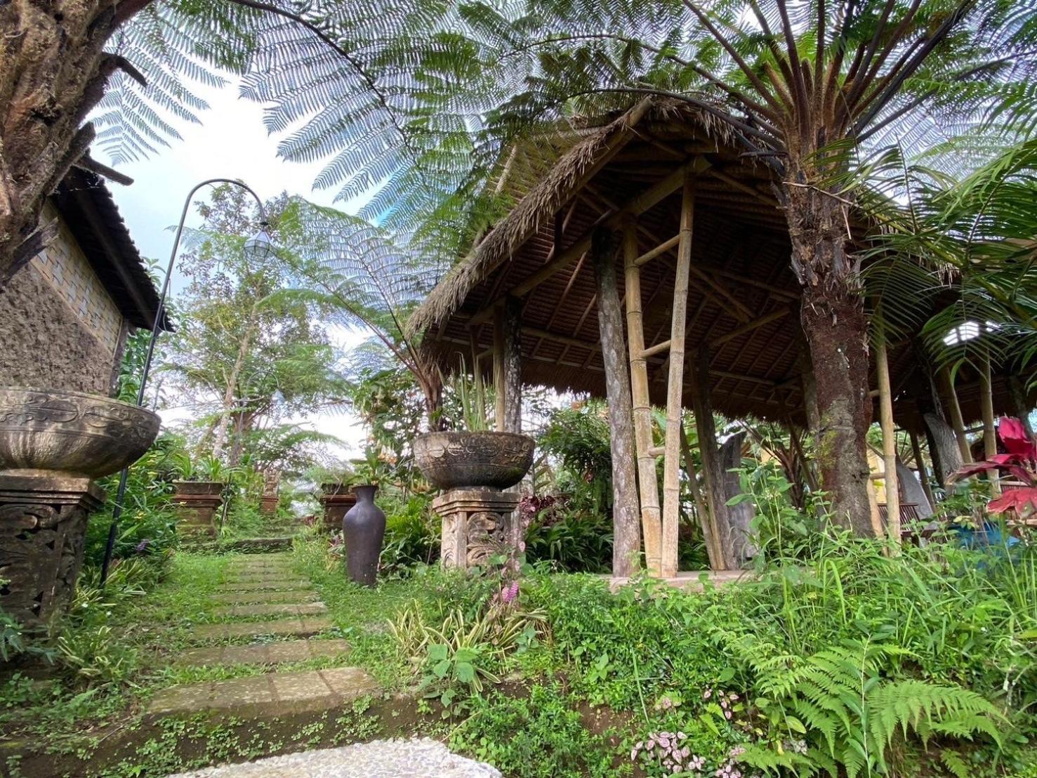 Lembah Cinta Mayungan Perkemahan
