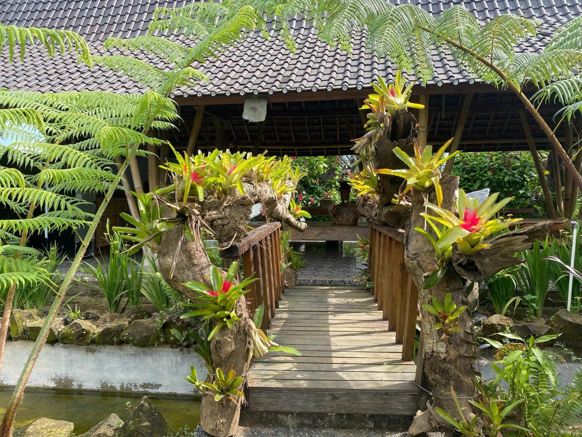 Lembah Cinta Mayungan * Baturiti